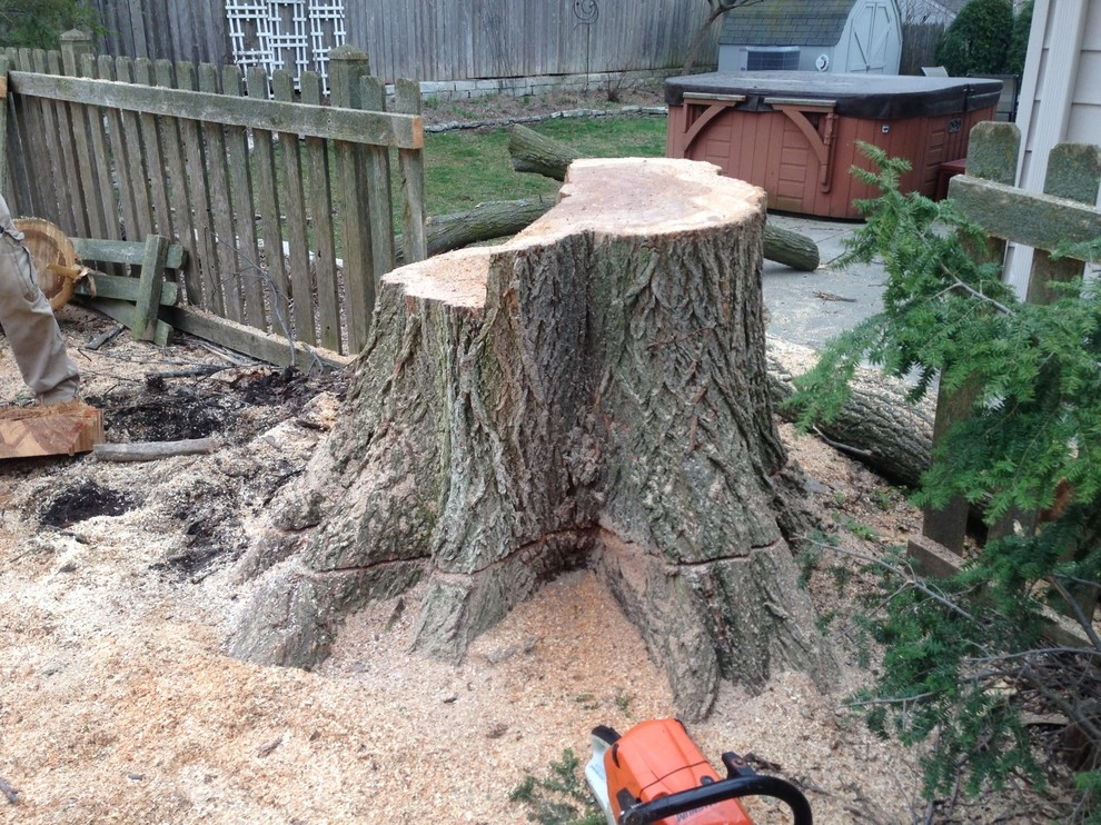 Grub to Glam by David J Frank Landscape Contracting Inc - Photo 22