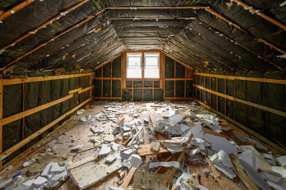 145 Louisiana Avenue - Initial State by J. Parrish Builders - Photo 2