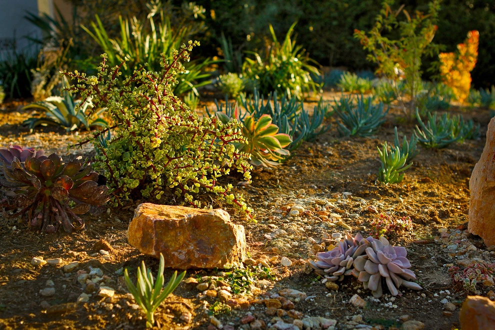 A Low Maintenance Colorful Landscape-Ladera Height by Bosler Earth Design - Photo 14