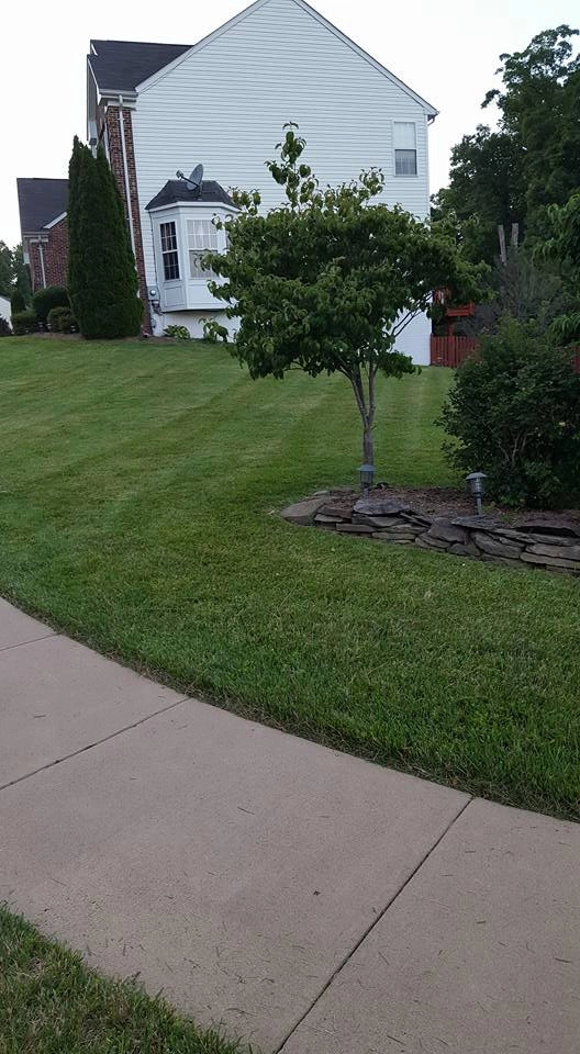 Decked Out Landscapes - Photo 11