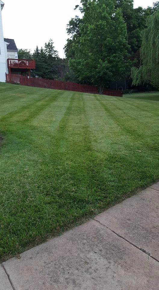 Landscape Maintenance by Decked Out Landscapes - Photo 2