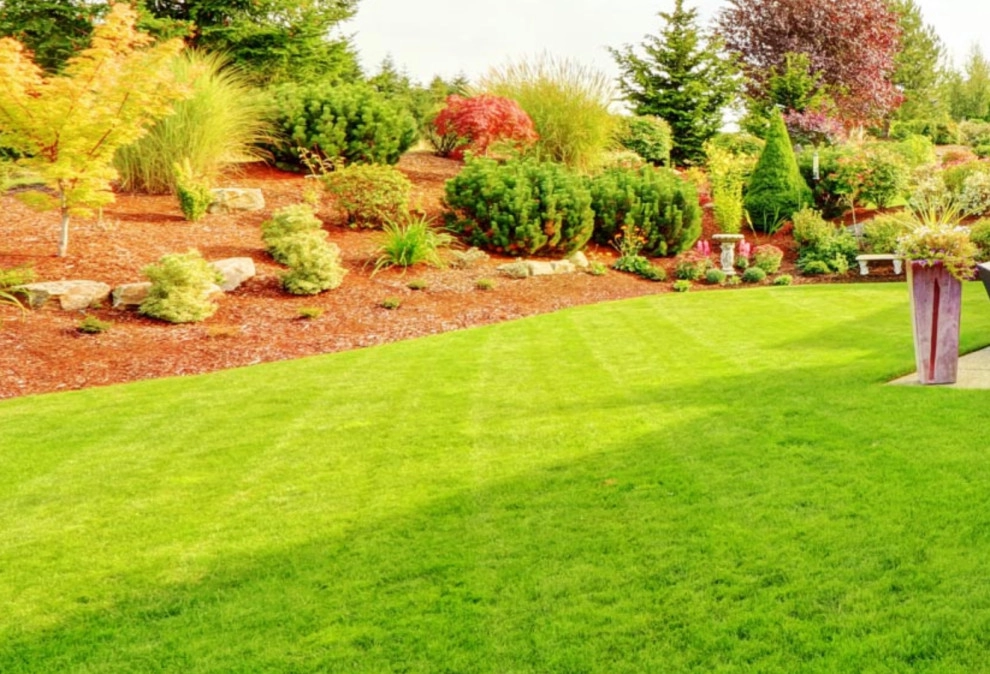 Landscape Remodel by Decked Out Landscapes - Photo 4