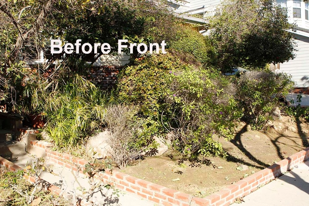 No Backyard, No Problem - Seal Beach by Bosler Earth Design - Photo 3