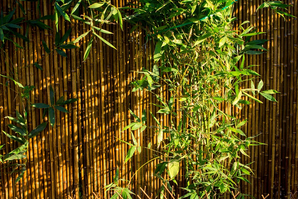A Natural Refuge - Hollywood by Bosler Earth Design - Photo 6