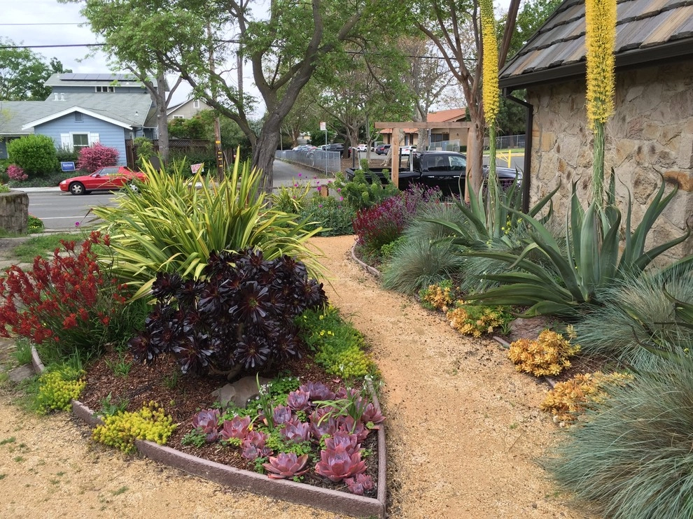 Deep Rootz Landscape And Design - Photo 8