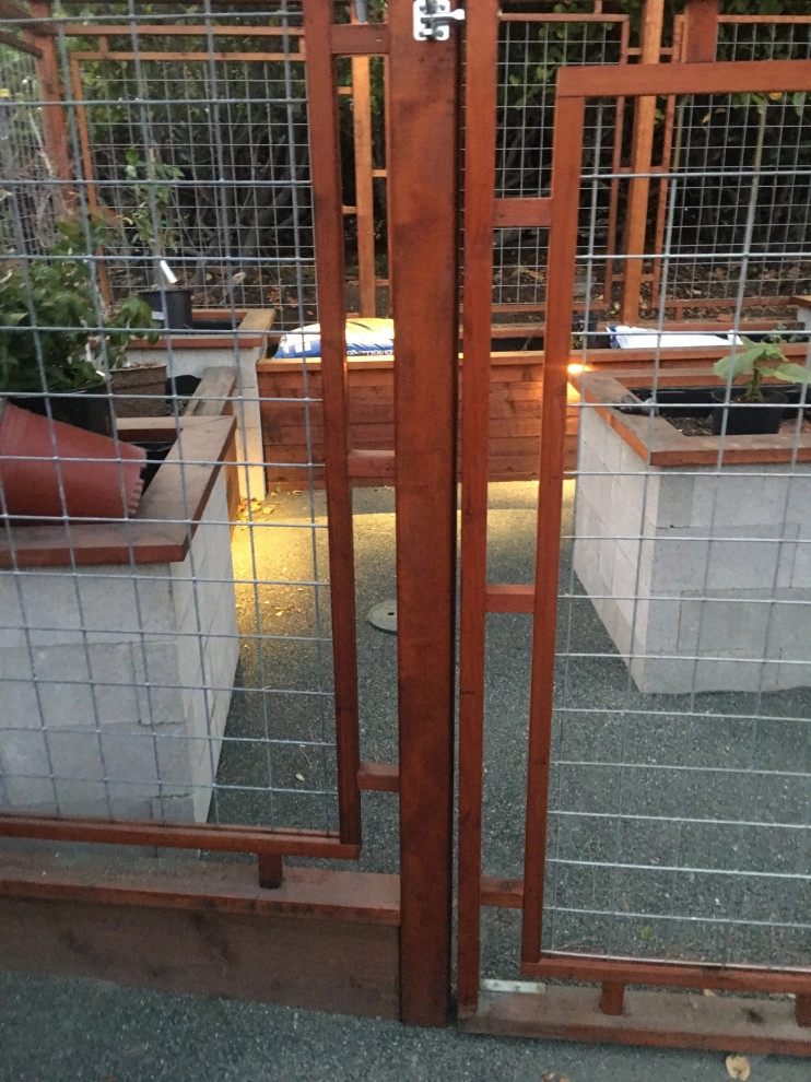 Contemporary Urban Farm by Deep Rootz Landscape And Design - Photo 10