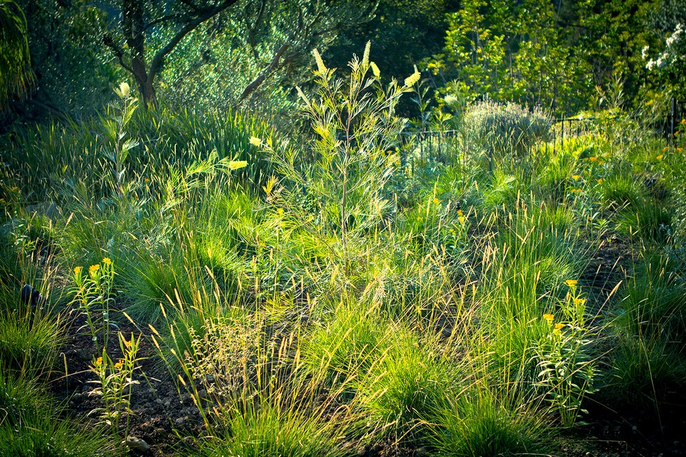Classical, Whimsical, and Drought Tolerant-Beverly Hills by Bosler Earth Design - Photo 12
