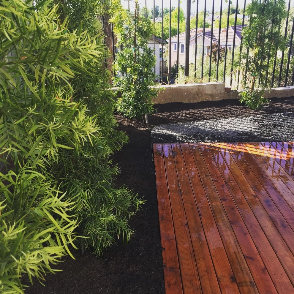 Modern Meditation by Deep Rootz Landscape And Design - Photo 6