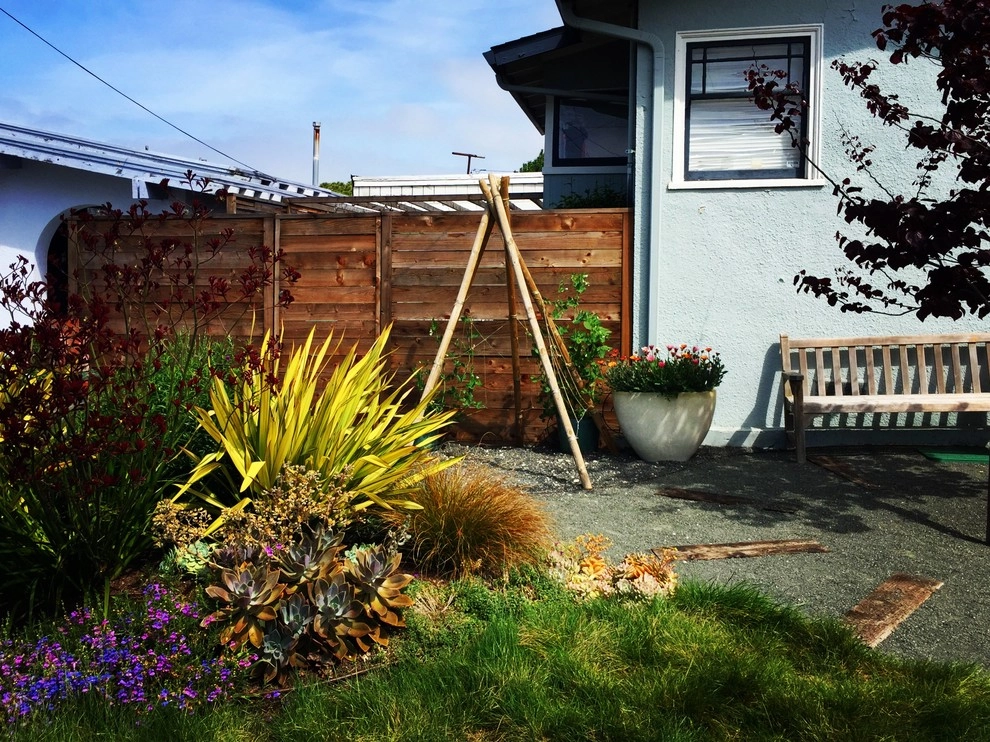 Playful Contemporary Bungalow by Deep Rootz Landscape And Design - Photo 2
