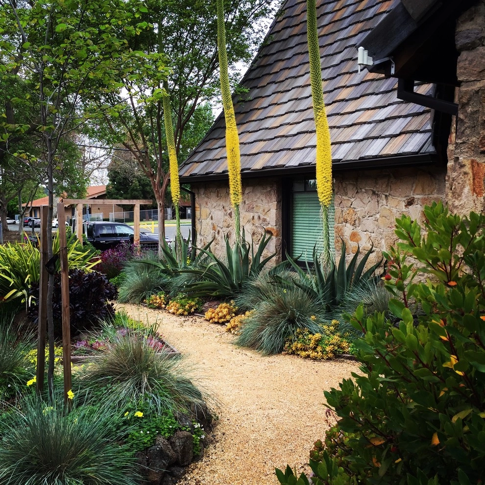 Water-wise Tudor by Deep Rootz Landscape And Design - Photo 8