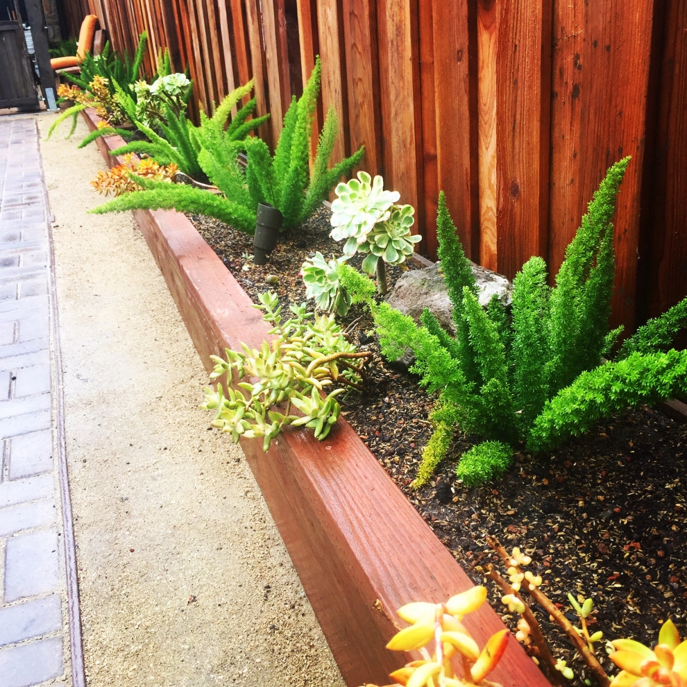 Water-wise Tudor by Deep Rootz Landscape And Design - Photo 10