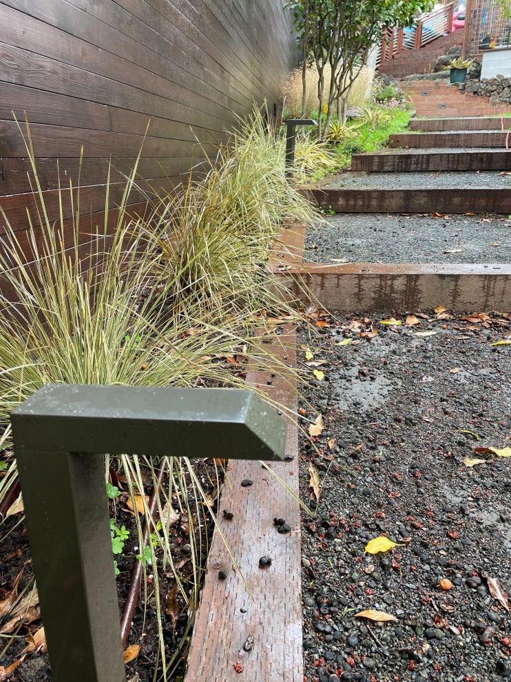 Contemporary Urban Farm by Deep Rootz Landscape And Design - Photo 13