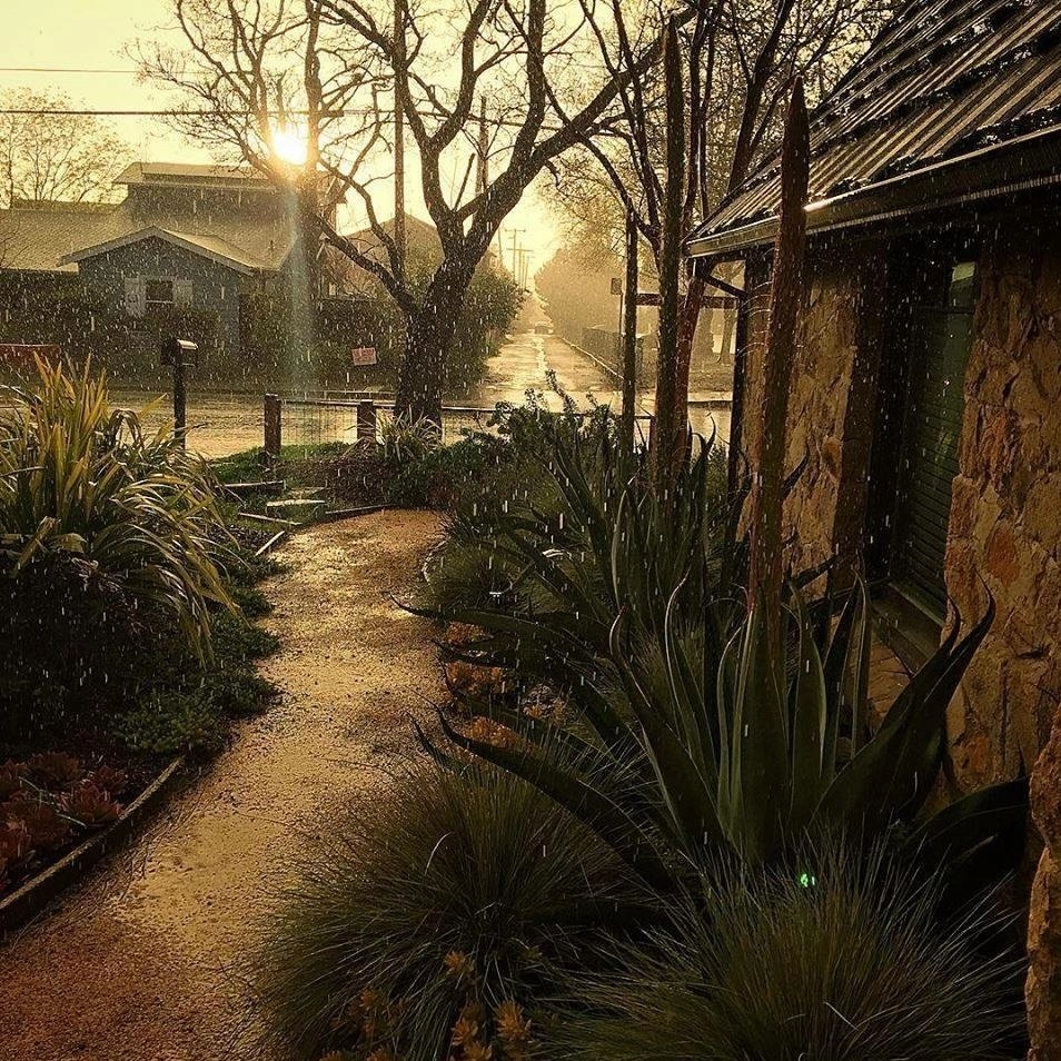 Water-wise Tudor by Deep Rootz Landscape And Design - Photo 3