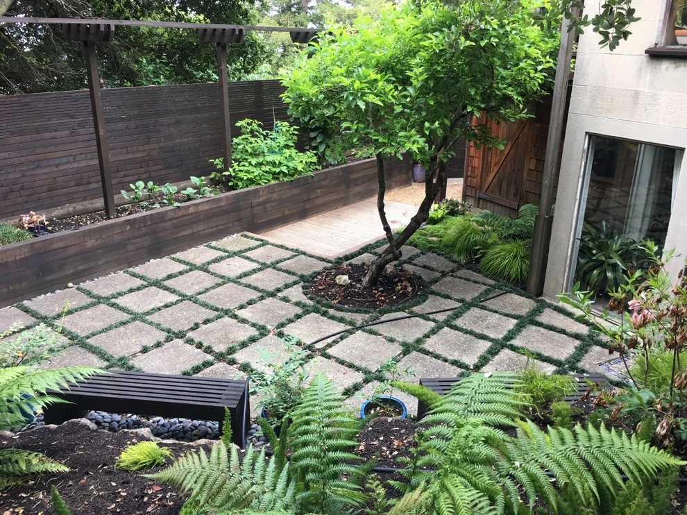 Berkeley Hills by Deep Rootz Landscape And Design - Photo 3