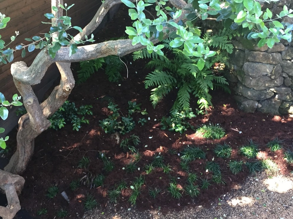 Berkeley Hills by Deep Rootz Landscape And Design - Photo 6