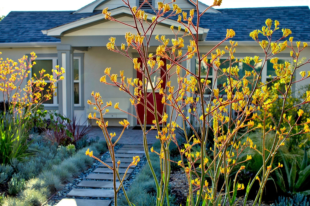 Colorful Drought Tolerant Up Grade - Mid Town by Bosler Earth Design - Photo 7