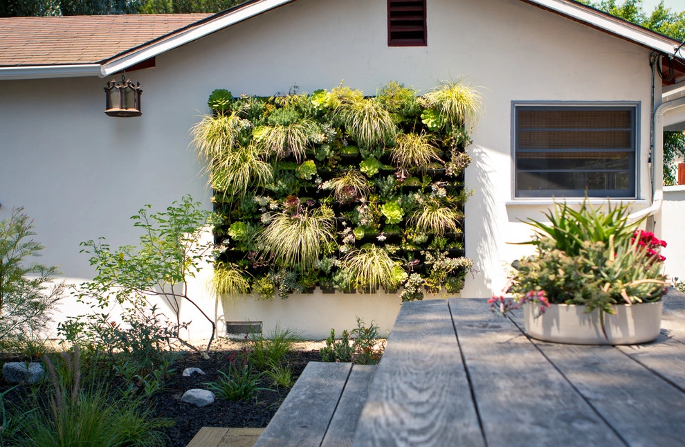 Ranch Bungalow - Manhattan Beach by Bosler Earth Design - Photo 8