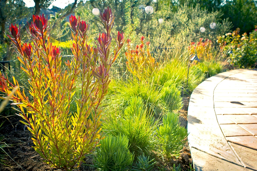 Classical, Whimsical, and Drought Tolerant-Beverly Hills by Bosler Earth Design - Photo 3