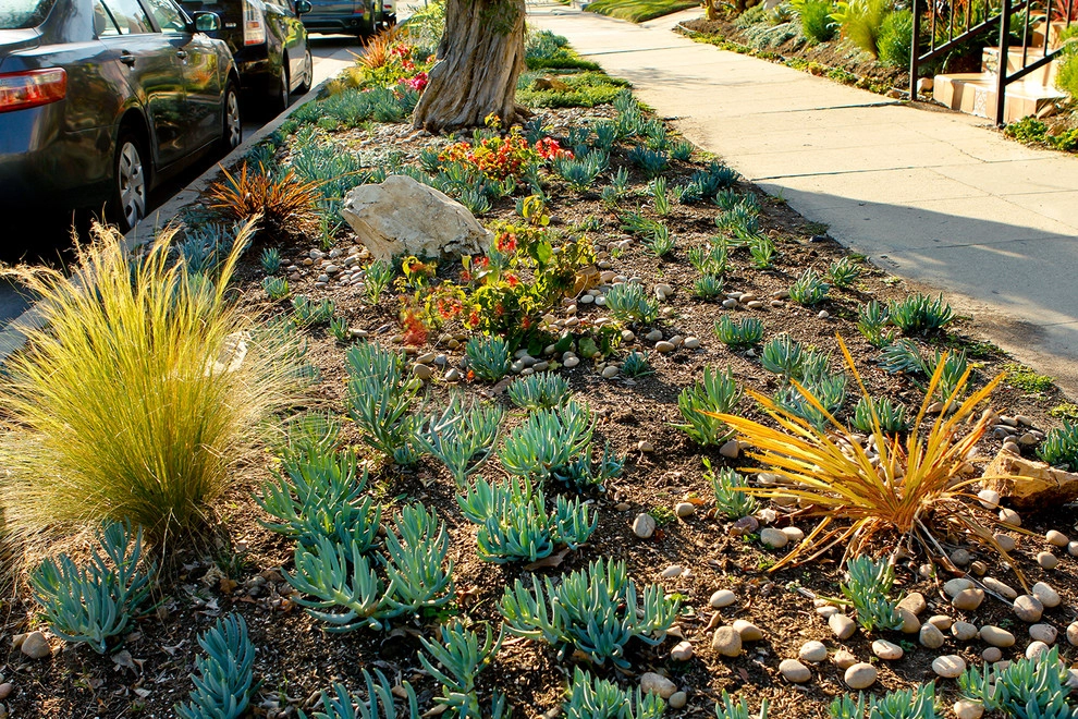 Spanish Landscape Hancock Park by Bosler Earth Design - Photo 9