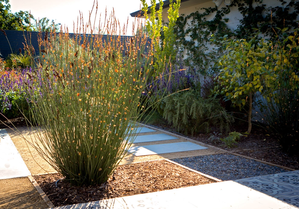 Rooms With A View - West Los Angeles by Bosler Earth Design - Photo 6