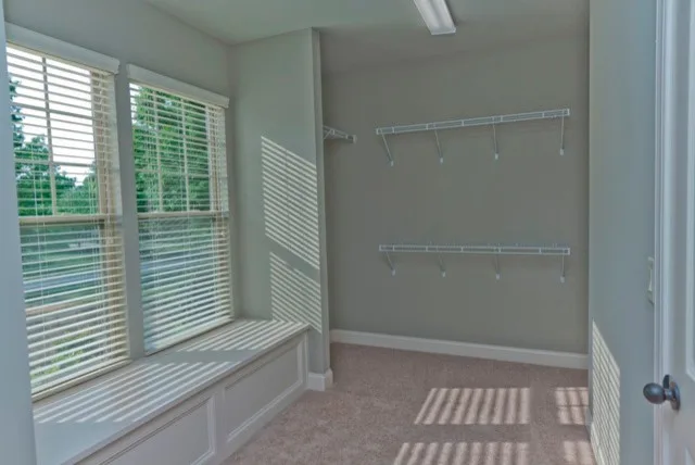 Tailored Residence - Wesley Chapel by Linnane Homes - Photo 13