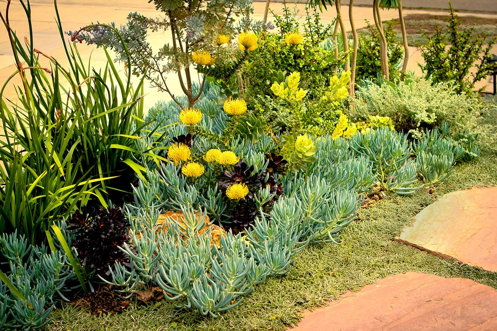 Monet Landscape - Beverly Grove by Bosler Earth Design - Photo 11