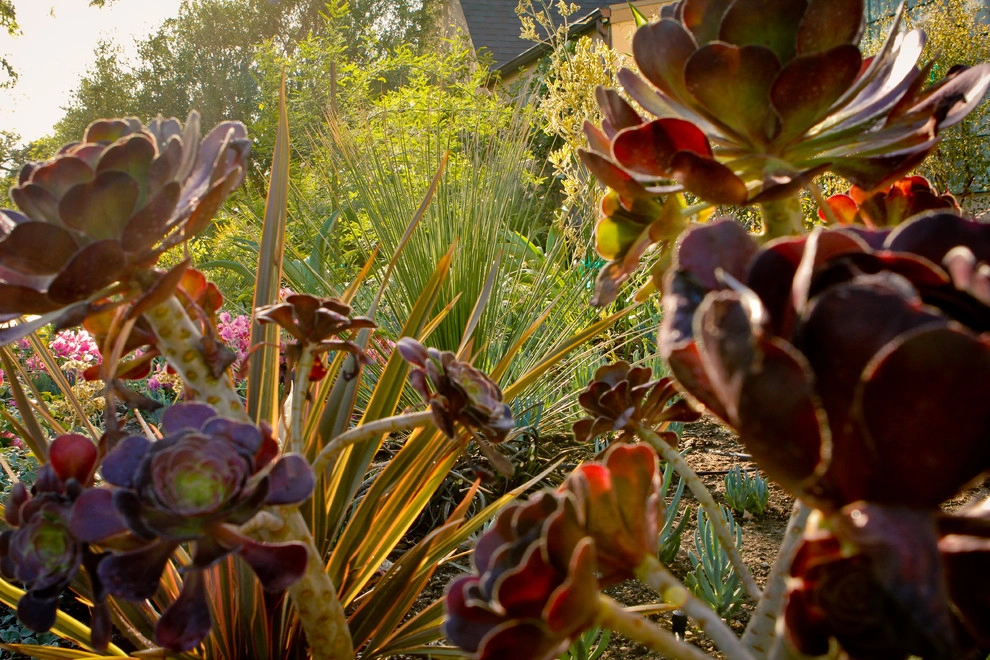Monet Landscape - Beverly Grove by Bosler Earth Design - Photo 18