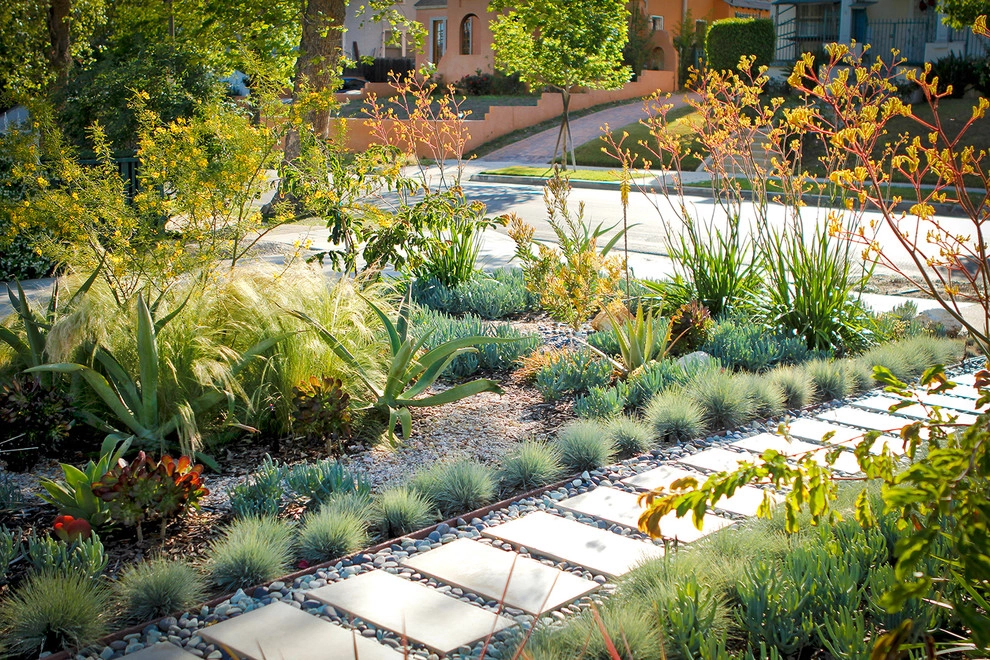 Colorful Drought Tolerant Up Grade - Mid Town by Bosler Earth Design - Photo 3