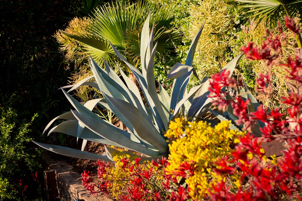 Artist Sanctuary - Laurel Canyon by Bosler Earth Design - Photo 14