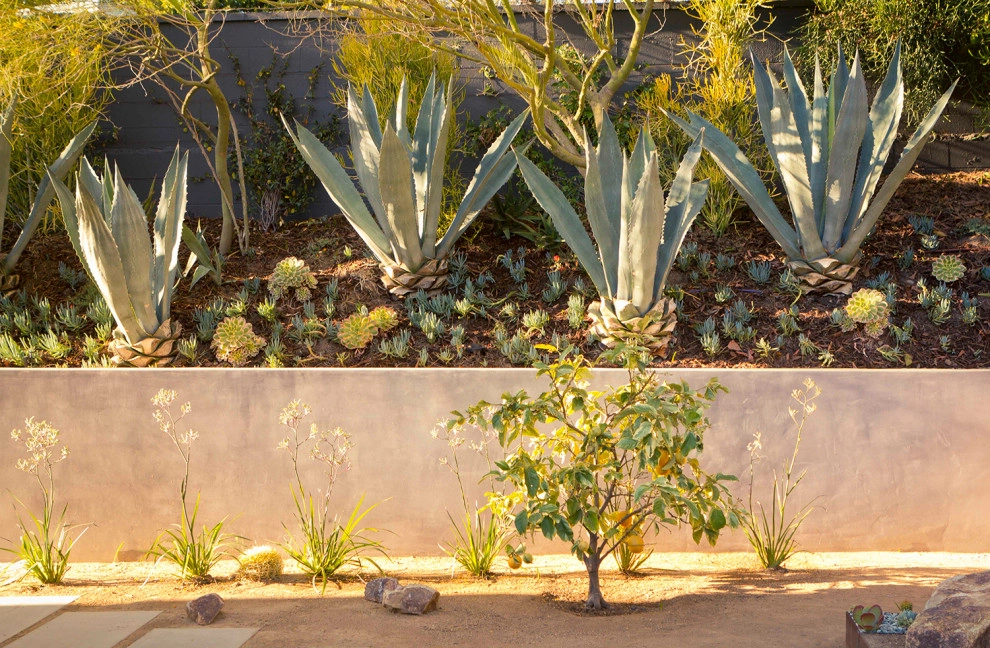 Artist Sanctuary - Laurel Canyon by Bosler Earth Design - Photo 28