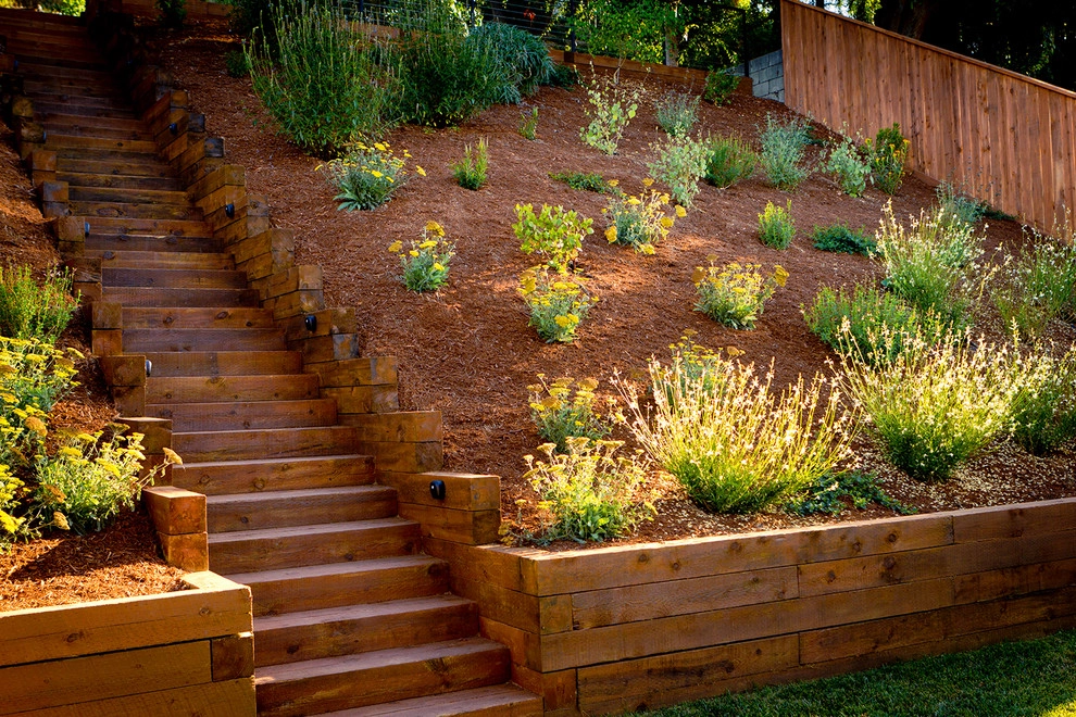 Baldwin Hills - California Native Hillside by Bosler Earth Design - Photo 5