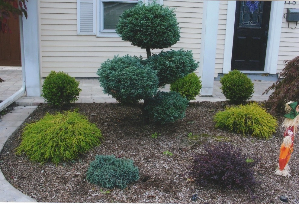 Planting Designs by Diamond Cut Landscape Design - Photo 25