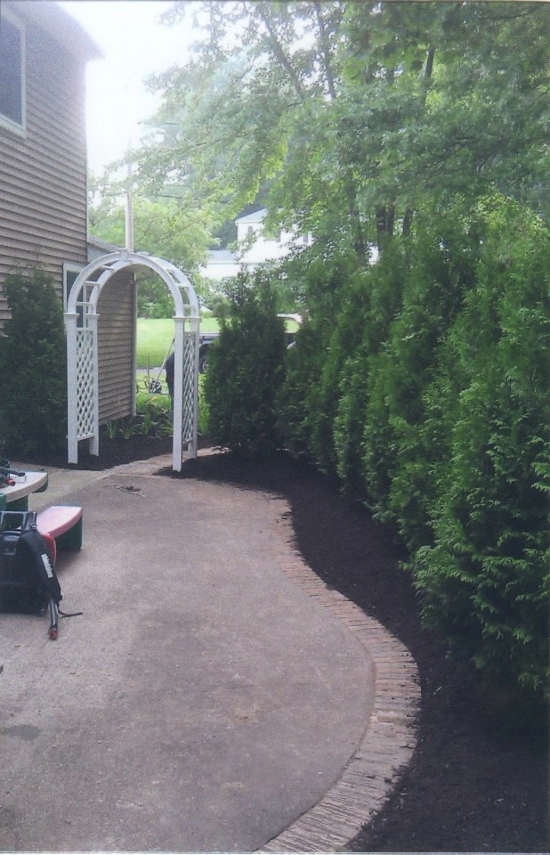 Planting Designs by Diamond Cut Landscape Design - Photo 10
