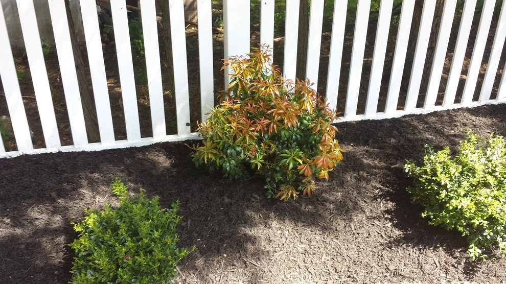 Diamond Cut Landscape Design - Photo 3