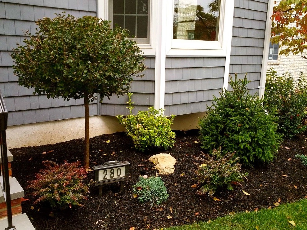 Planting Designs by Diamond Cut Landscape Design - Photo 28