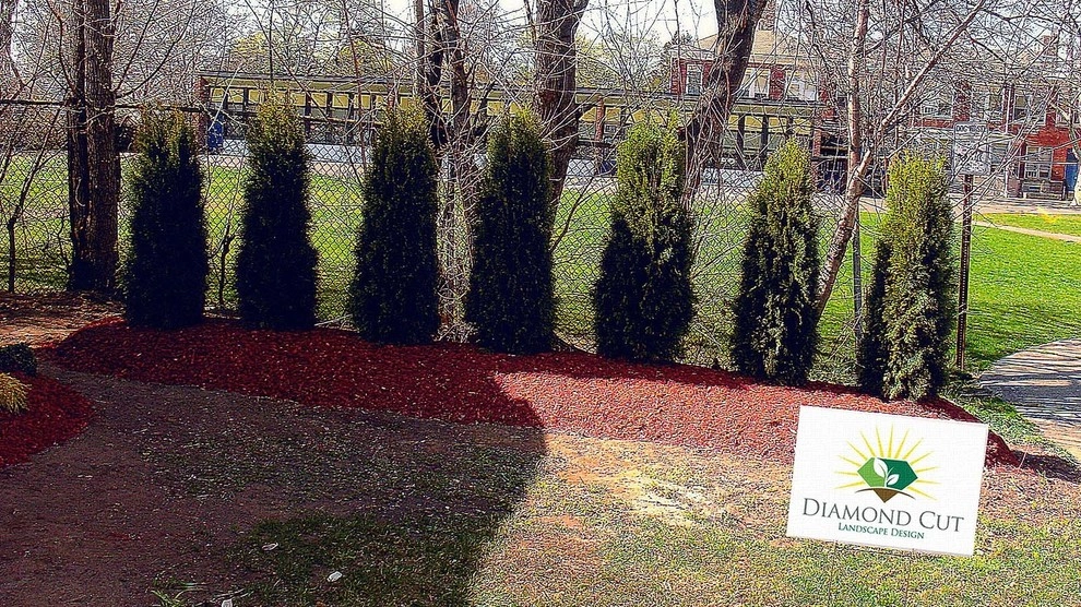 Planting Designs by Diamond Cut Landscape Design - Photo 6