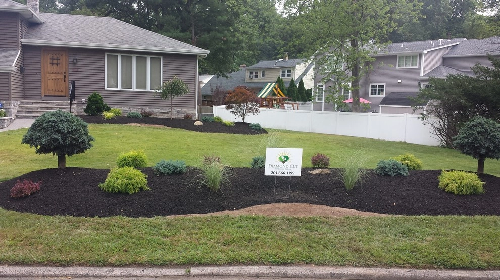 Planting Designs by Diamond Cut Landscape Design - Photo 5
