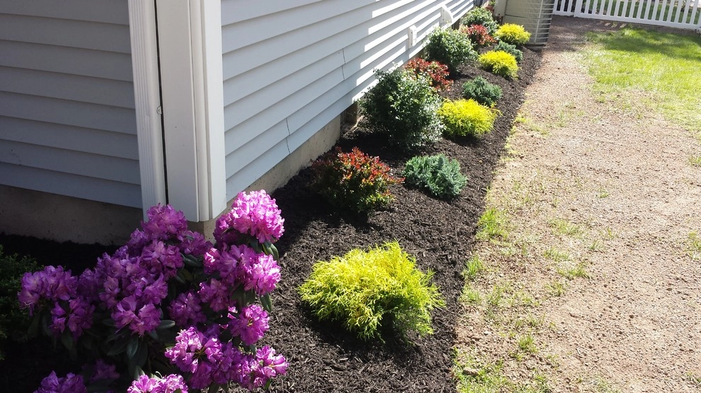 Planting Designs by Diamond Cut Landscape Design - Photo 17