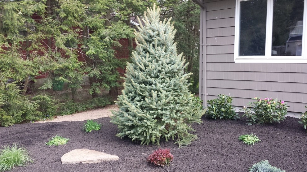 Planting Designs by Diamond Cut Landscape Design - Photo 24