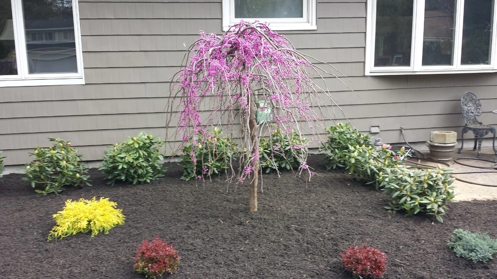 Planting Designs by Diamond Cut Landscape Design - Photo 16