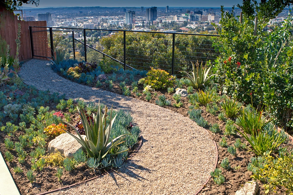 Mid Century Modern - Hollywood Hills by Bosler Earth Design - Photo 5