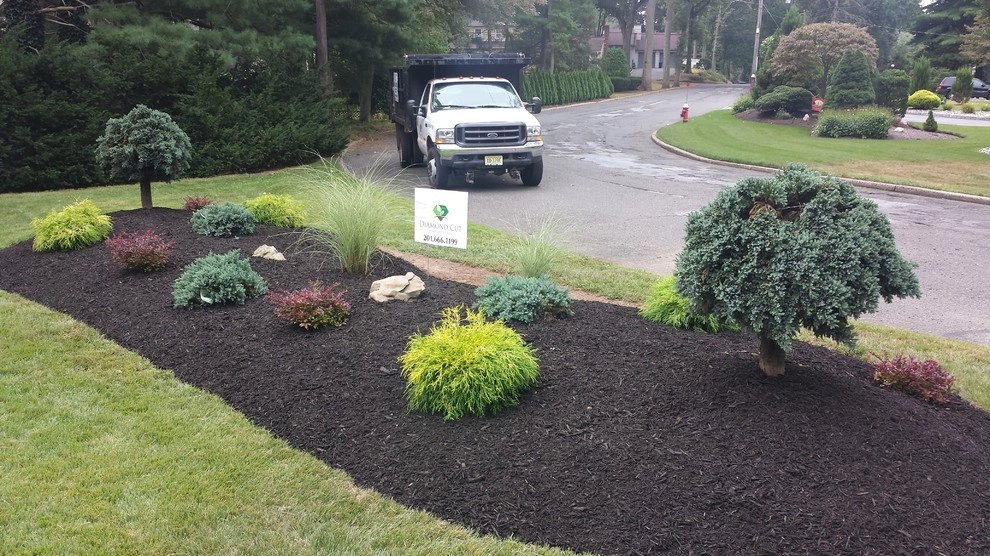 Planting Designs by Diamond Cut Landscape Design - Photo 3