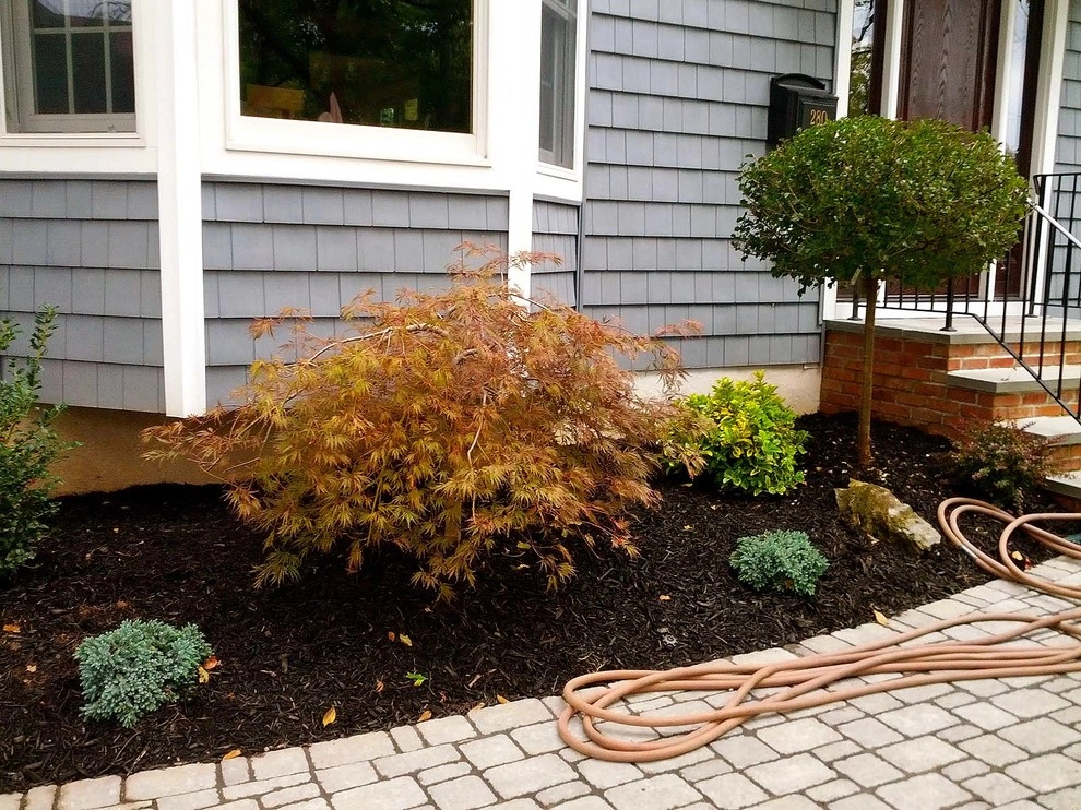 Planting Designs by Diamond Cut Landscape Design - Photo 8