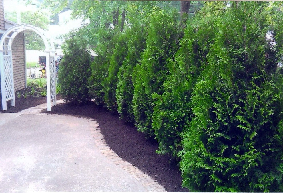 Planting Designs by Diamond Cut Landscape Design - Photo 29