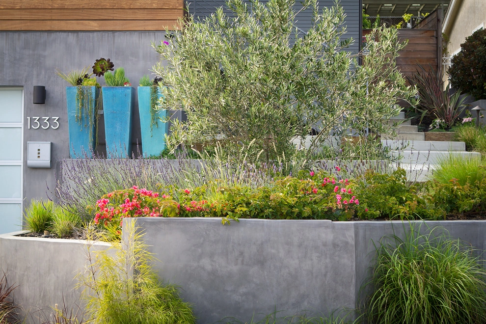 Naturalistic Contemporary Home - Santa Monica by Bosler Earth Design - Photo 2