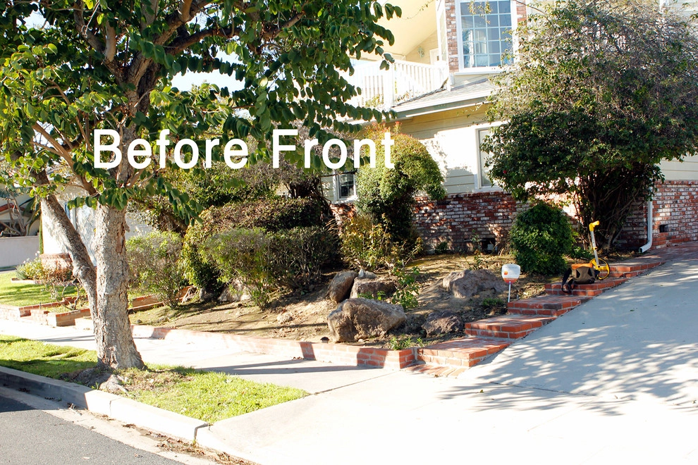 No Backyard, No Problem - Seal Beach by Bosler Earth Design - Photo 10