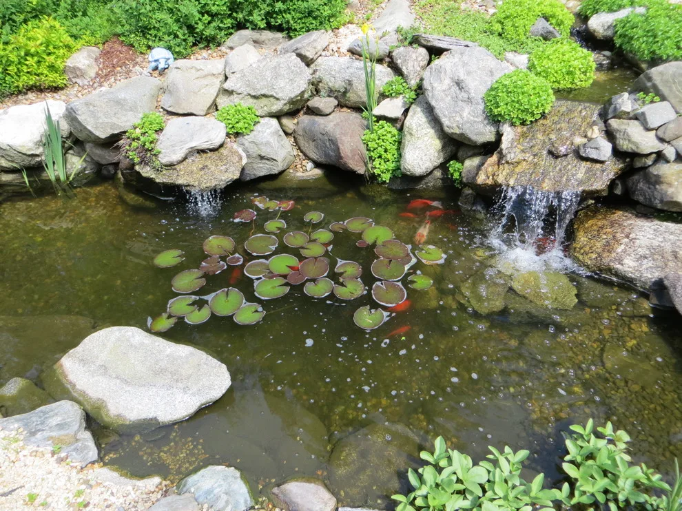 Harbor Oasis Water Feature by Northcape Design/Build - Photo 2