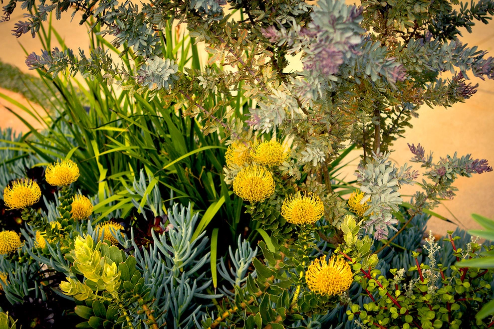 Monet Landscape - Beverly Grove by Bosler Earth Design - Photo 16