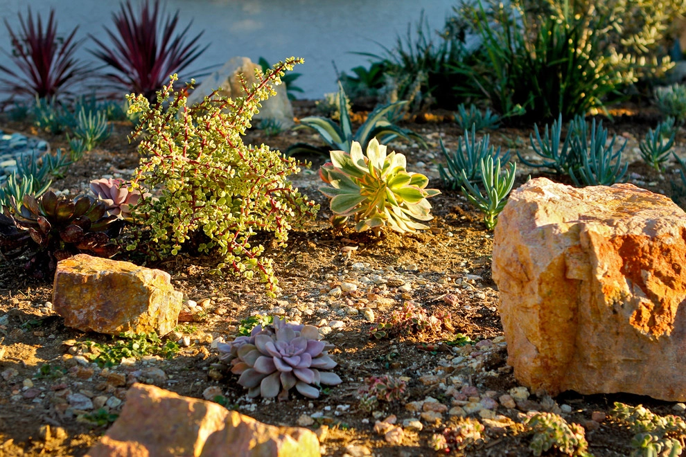 A Low Maintenance Colorful Landscape-Ladera Height by Bosler Earth Design - Photo 8