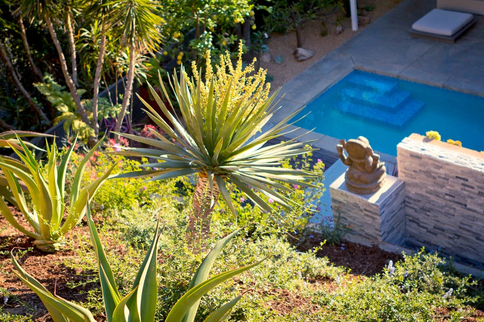 Artist Sanctuary - Laurel Canyon by Bosler Earth Design - Photo 5